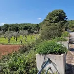 Otrantino * Otranto