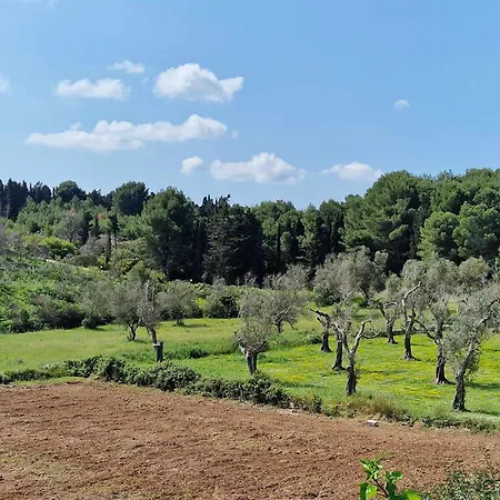 Διαμέρισμα Otrantino *