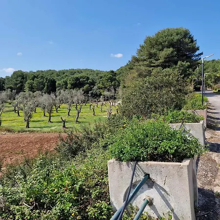 Otrantino * Οτράντο