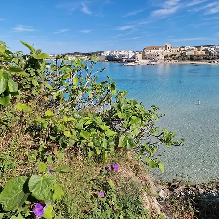 Διαμέρισμα Otrantino