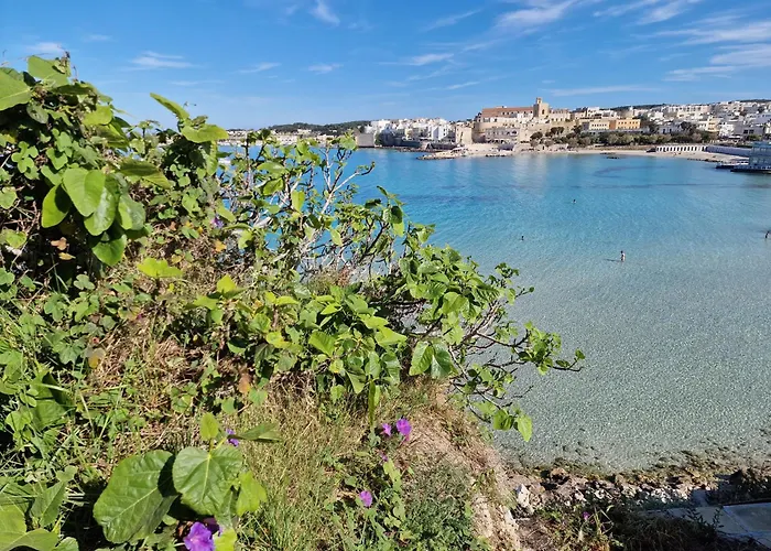 Apartament Otrantino